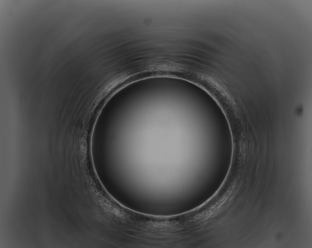 X0000097961025200804011653