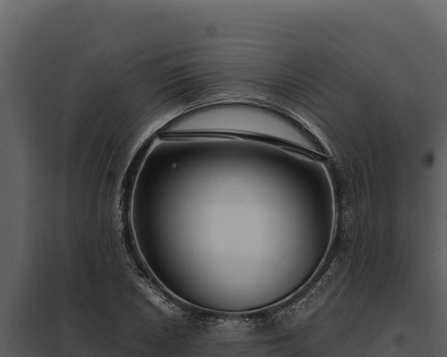 X0000097961026200804011653