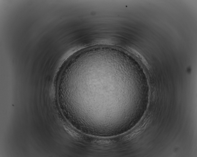 X0000097961027200804011653
