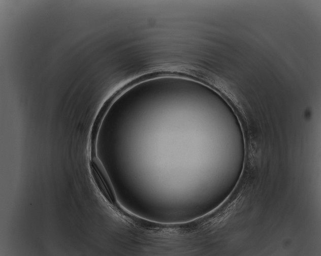 X0000097961028200804011653