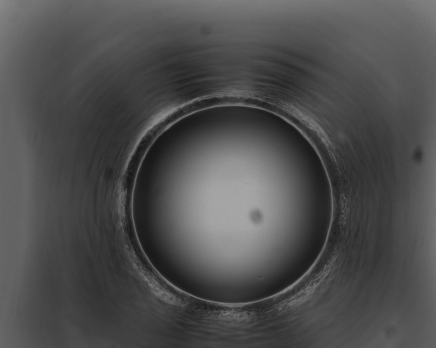 X0000097961029200804011653