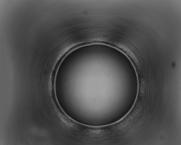X0000097961031200804011653