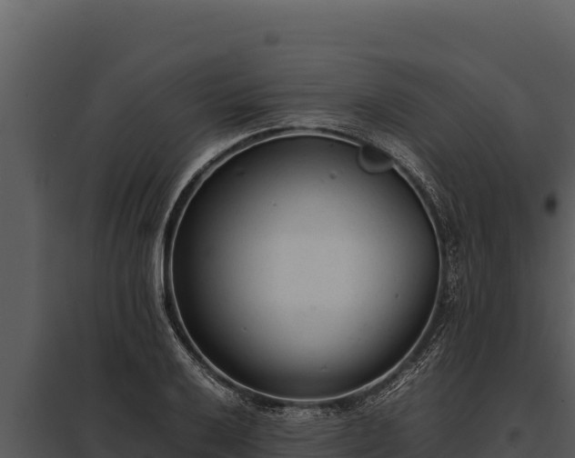 X0000097961032200804011653
