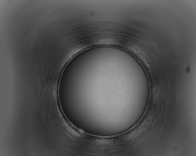 X0000097961033200804011653