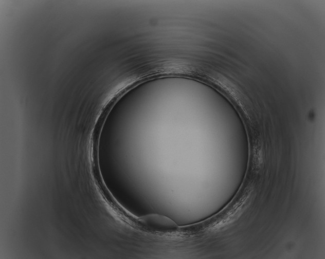 X0000097961034200804011653