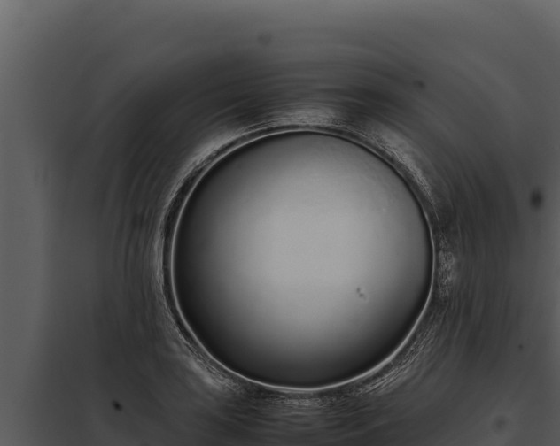 X0000097961035200804011653