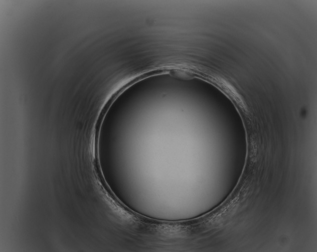 X0000097961036200804011653