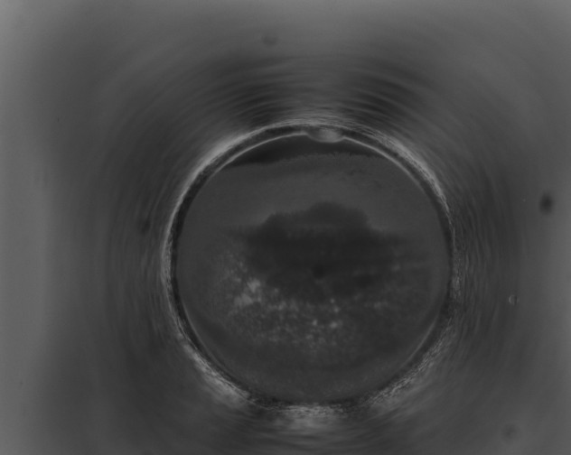 X0000097961037200804011653