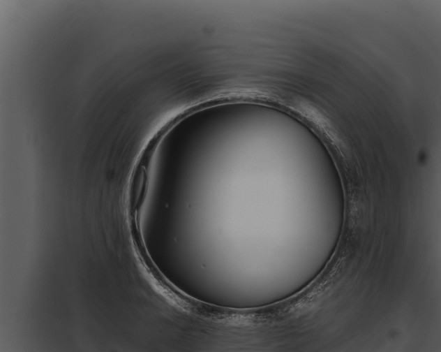 X0000097961038200804011653
