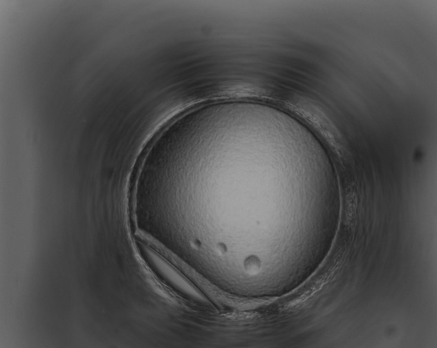 X0000097961039200804011653