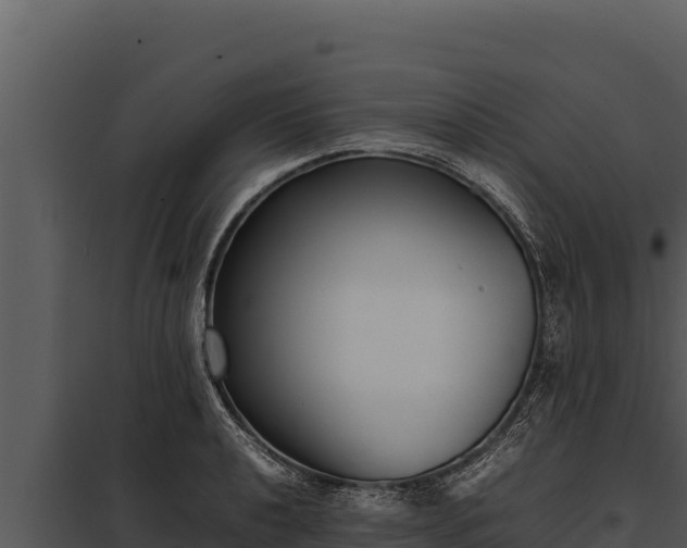 X0000097961040200804011653