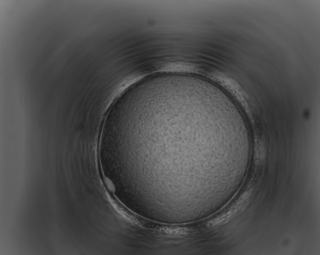 X0000097961041200804011653