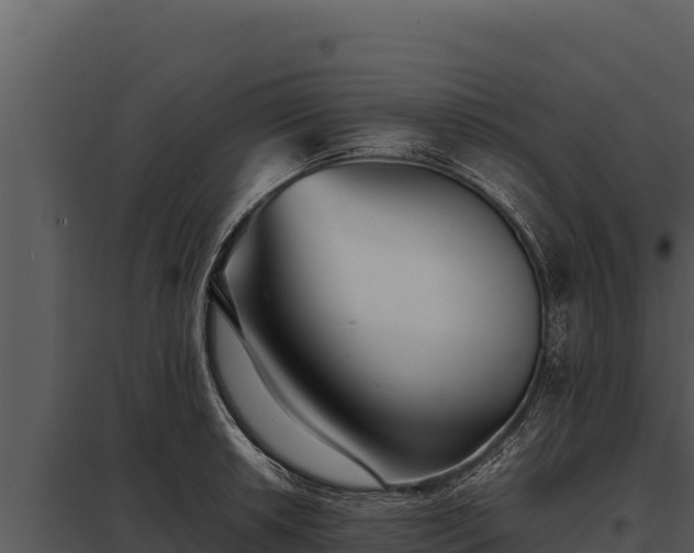 X0000097961042200804011653