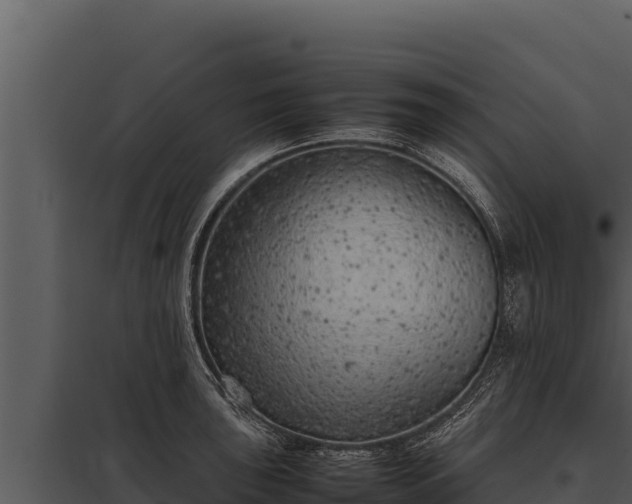 X0000097961043200804011653