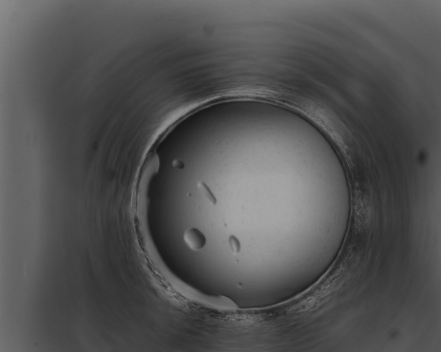 X0000097961044200804011653