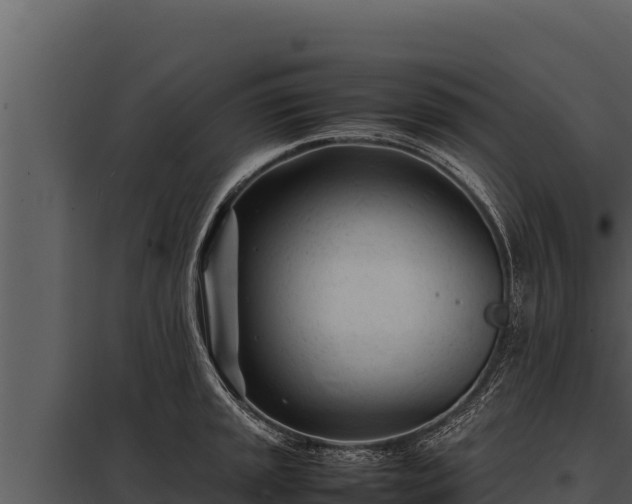 X0000097961045200804011653