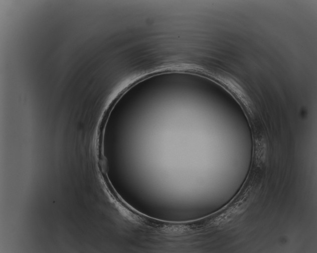 X0000097961046200804011653