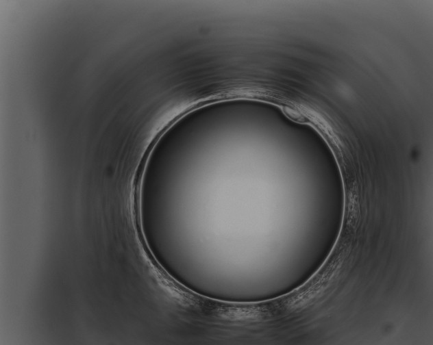 X0000097961047200804011653