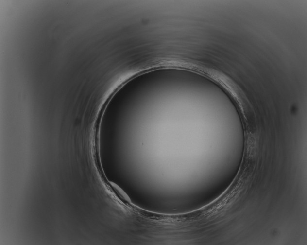 X0000097961048200804011653