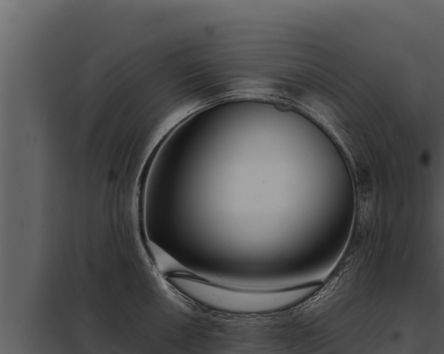 X0000097961050200804011653