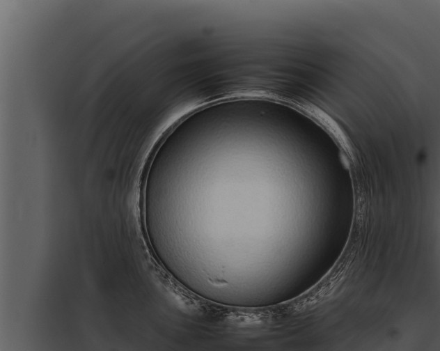 X0000097961051200804011653