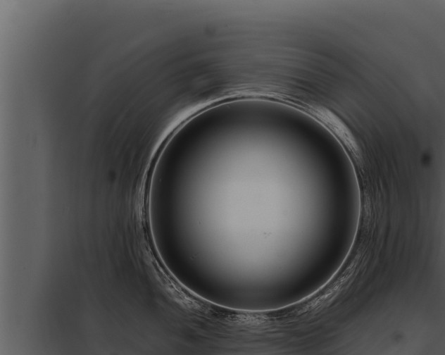 X0000097961052200804011653