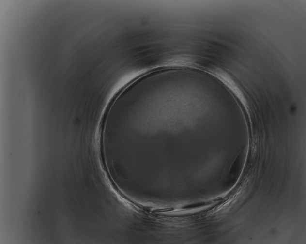 X0000097961053200804011653
