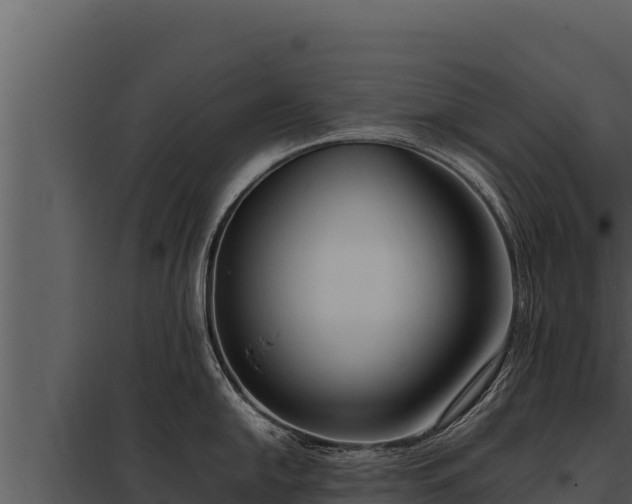 X0000097961054200804011653