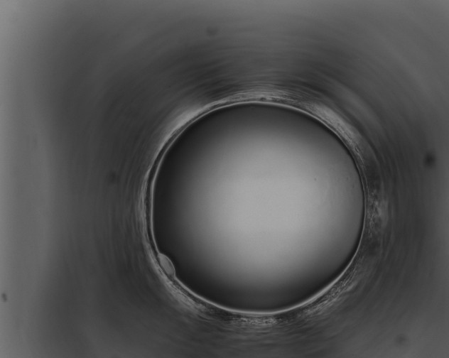 X0000097961055200804011654