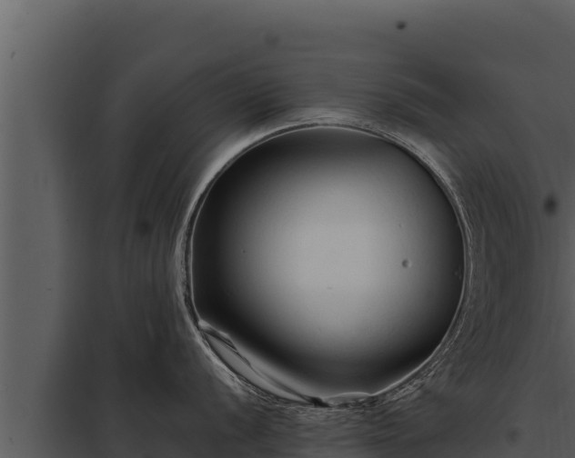 X0000097961056200804011654