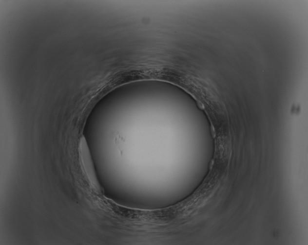 X0000097961057200804011653
