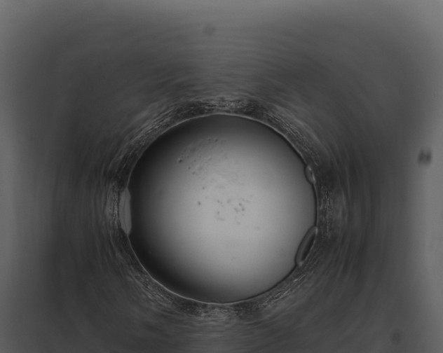 X0000097961058200804011653