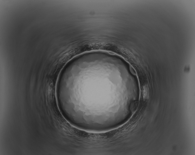X0000097961059200804011653