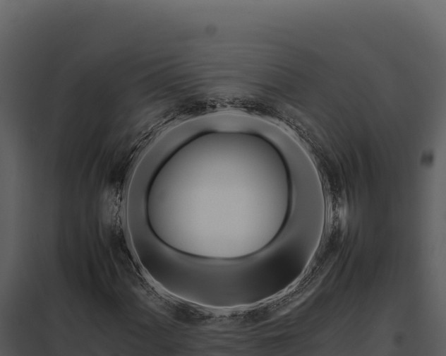 X0000097961060200804011653