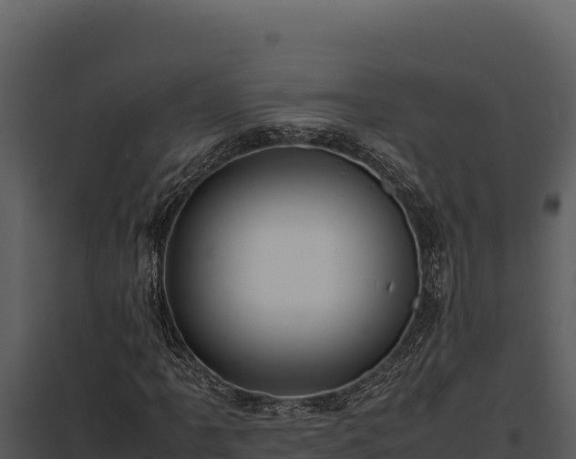 X0000097961061200804011653