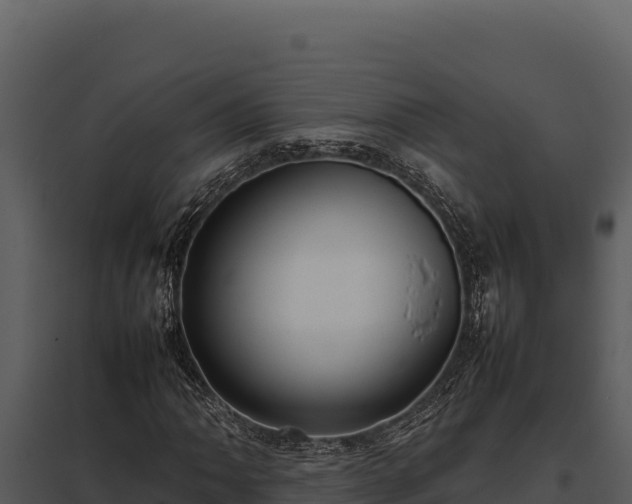 X0000097961062200804011653