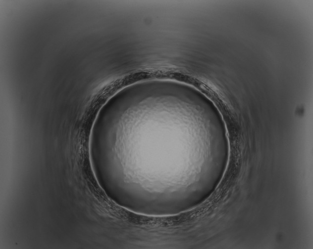 X0000097961063200804011653