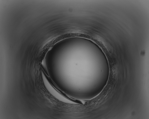 X0000097961064200804011653