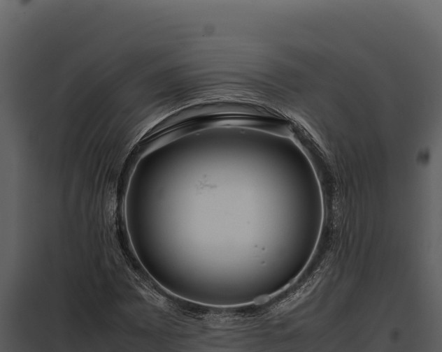 X0000097961065200804011653
