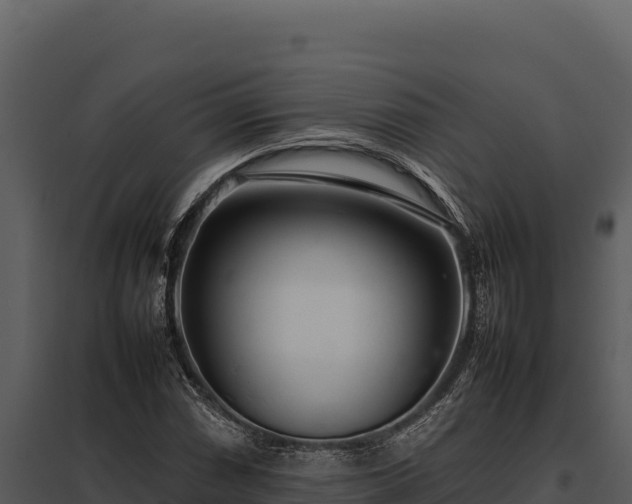 X0000097961066200804011653