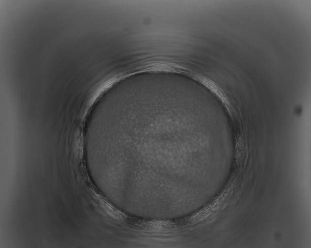 X0000097961067200804011653