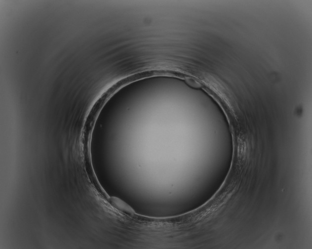 X0000097961068200804011653