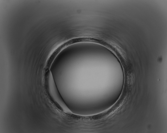 X0000097961069200804011653
