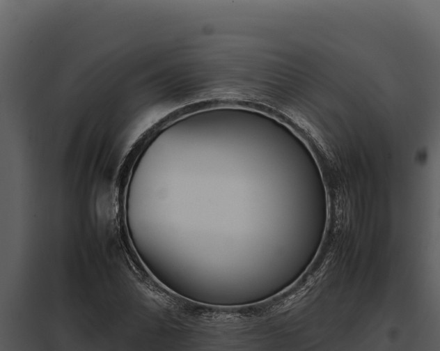 X0000097961070200804011653