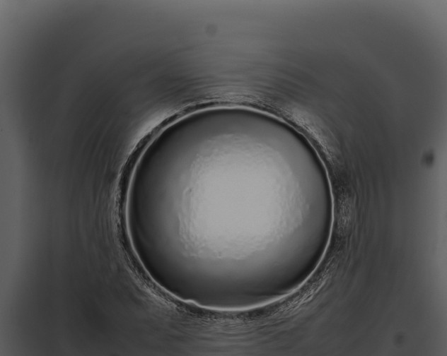 X0000097961071200804011652