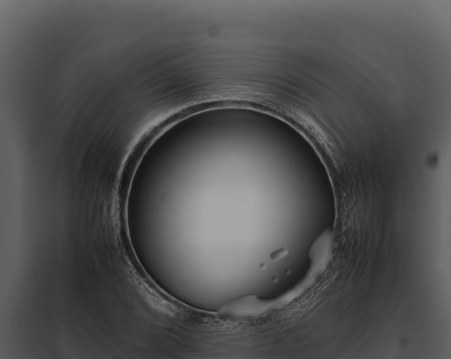X0000097961072200804011652