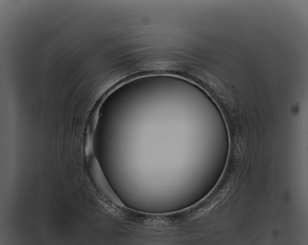 X0000097961073200804011652