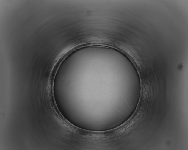 X0000097961074200804011652