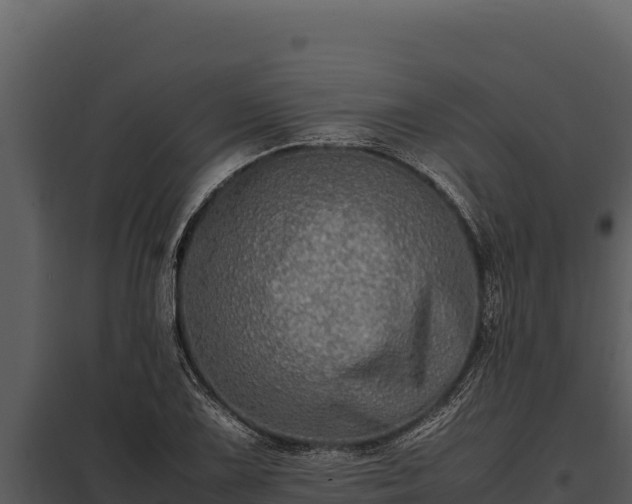 X0000097961075200804011652