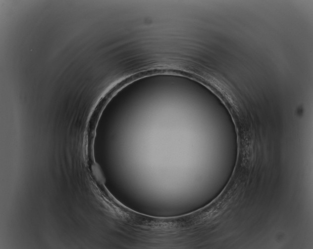 X0000097961076200804011652